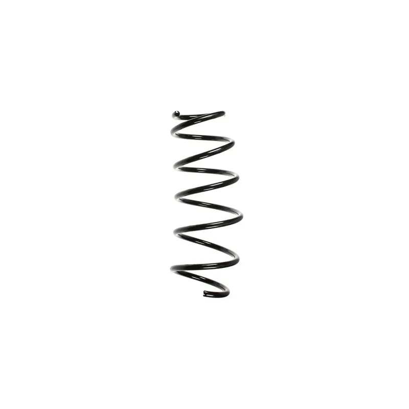 Ressort de suspension SPIDAN 56032