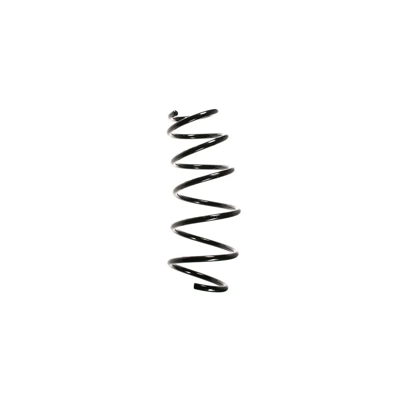 Ressort de suspension SPIDAN 56033
