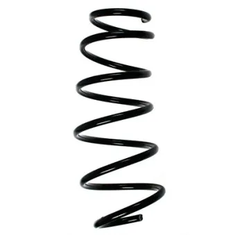 Ressort de suspension SPIDAN 56034