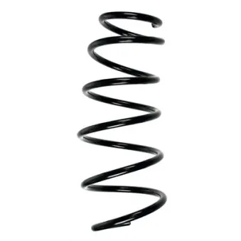 Ressort de suspension SPIDAN 56035