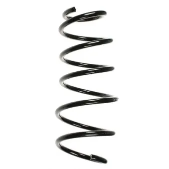 Ressort de suspension SPIDAN 56036