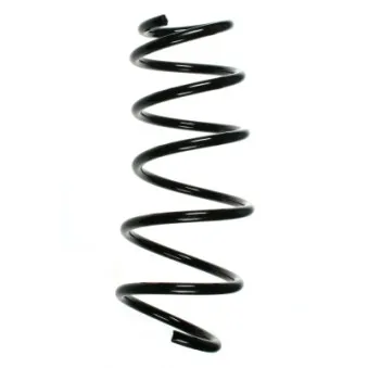 Ressort de suspension SPIDAN 56037