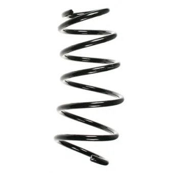 Ressort de suspension SPIDAN 56038
