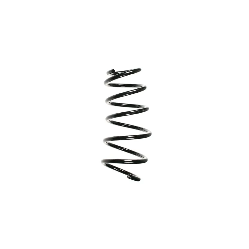 Ressort de suspension SPIDAN 56038