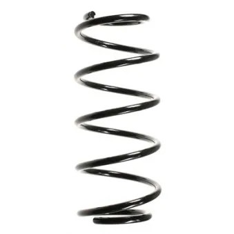 Ressort de suspension SPIDAN 56041