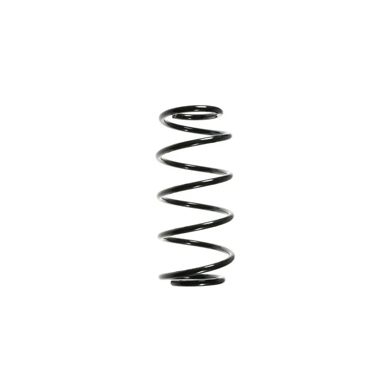 Ressort de suspension SPIDAN 56042
