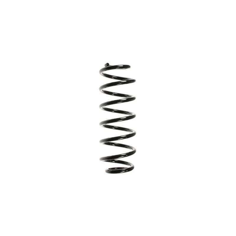 Ressort de suspension SPIDAN 56058