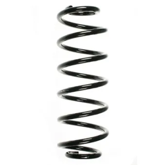 Ressort de suspension SPIDAN 56061