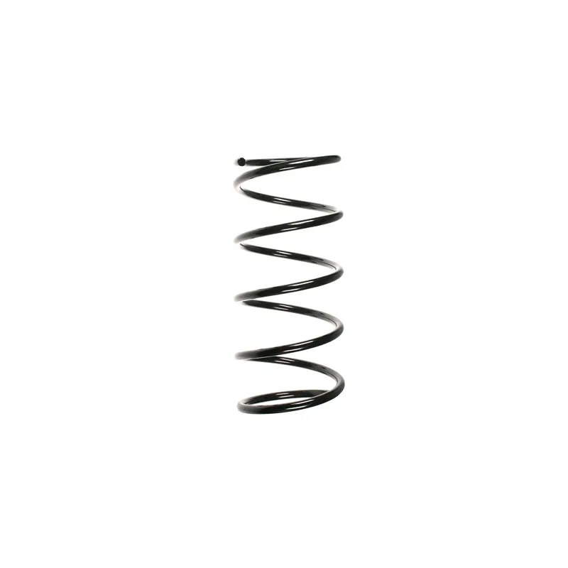 Ressort de suspension SPIDAN 56062