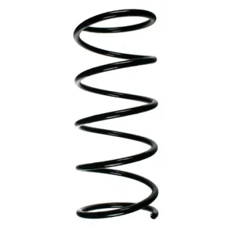 Ressort de suspension SPIDAN 56063