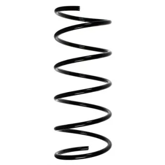 Ressort de suspension SPIDAN 56065