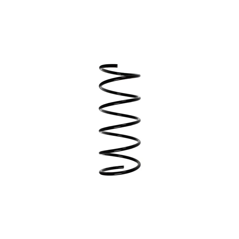 Ressort de suspension SPIDAN 56065