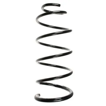 Ressort de suspension SPIDAN 56071