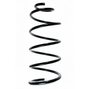 Ressort de suspension SPIDAN 56080