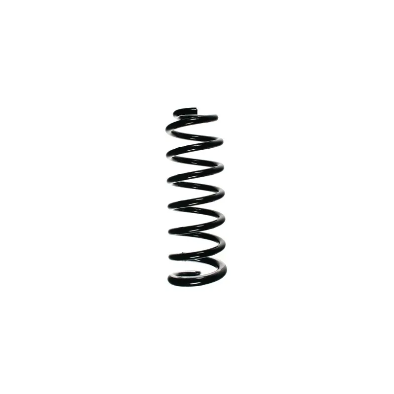 Ressort de suspension SPIDAN 56089
