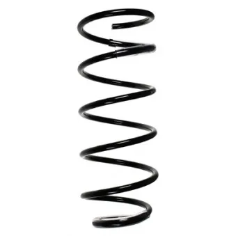 Ressort de suspension SPIDAN 56098