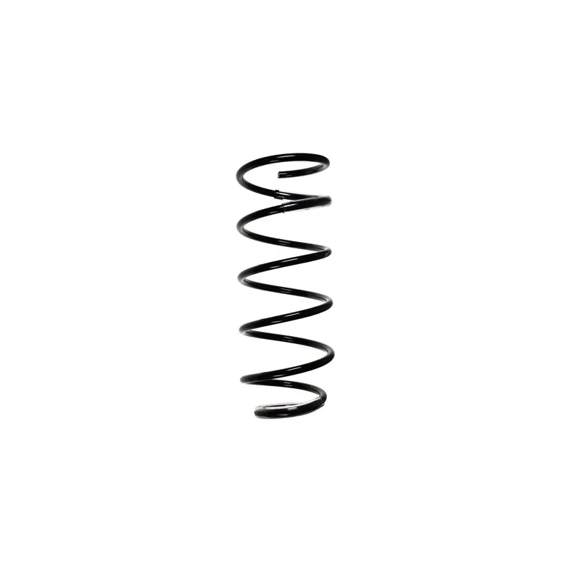 Ressort de suspension SPIDAN 56098