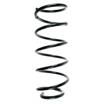 Ressort de suspension SPIDAN 56099