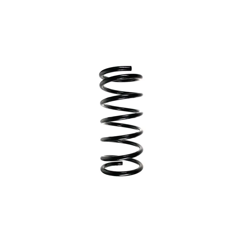 Ressort de suspension SPIDAN 56101