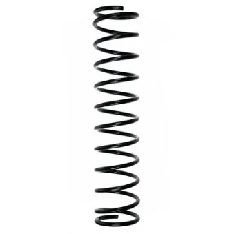 Ressort de suspension SPIDAN 56104