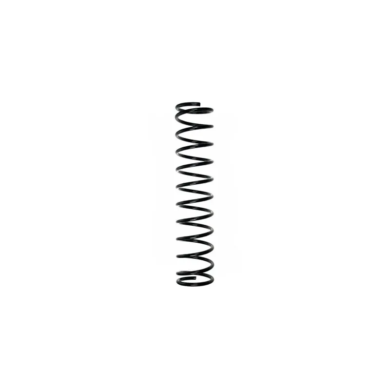 Ressort de suspension SPIDAN 56104