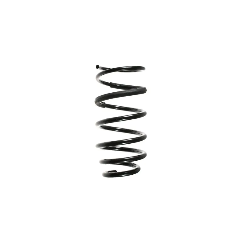 Ressort de suspension SPIDAN 56131