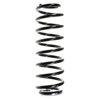 Ressort de suspension SPIDAN 56138