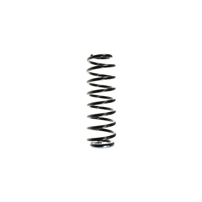 Ressort de suspension SPIDAN 56138