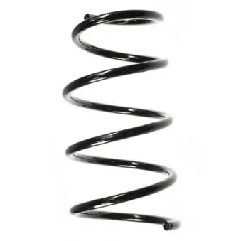 Ressort de suspension SPIDAN 56141