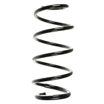 Ressort de suspension SPIDAN 56151