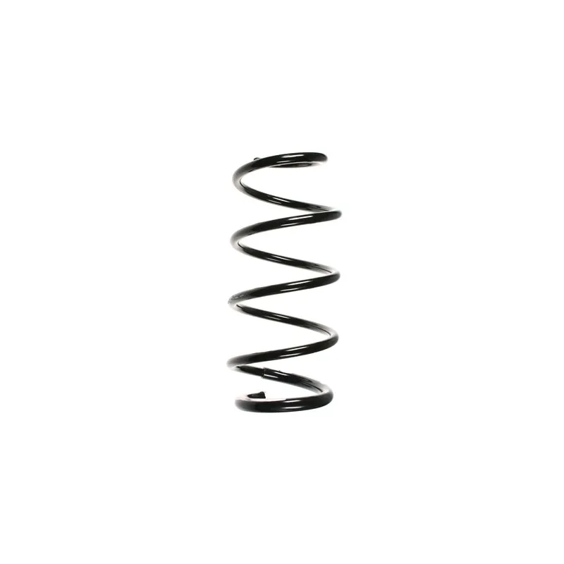 Ressort de suspension SPIDAN 56151