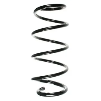 Ressort de suspension SPIDAN 56152