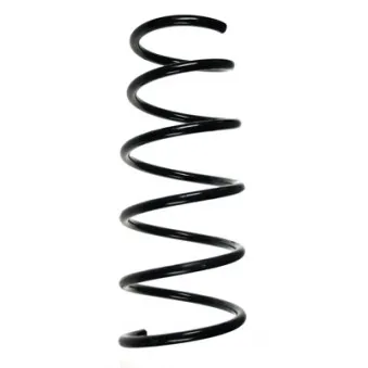 Ressort de suspension SPIDAN 56156