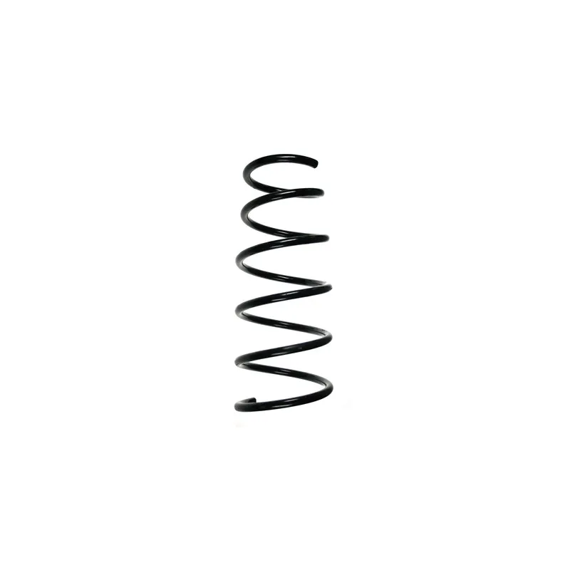 Ressort de suspension SPIDAN 56156