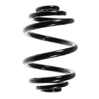 Ressort de suspension SPIDAN 56159