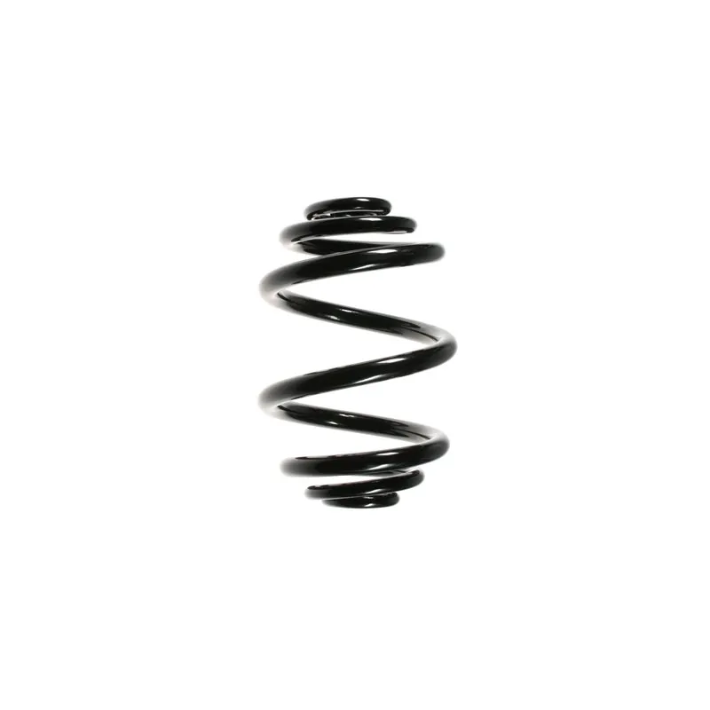 Ressort de suspension SPIDAN 56159