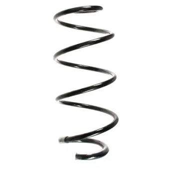 Ressort de suspension SPIDAN 56160