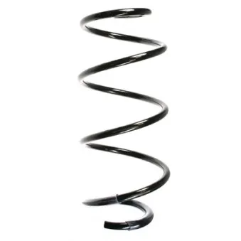 Ressort de suspension SPIDAN 56161