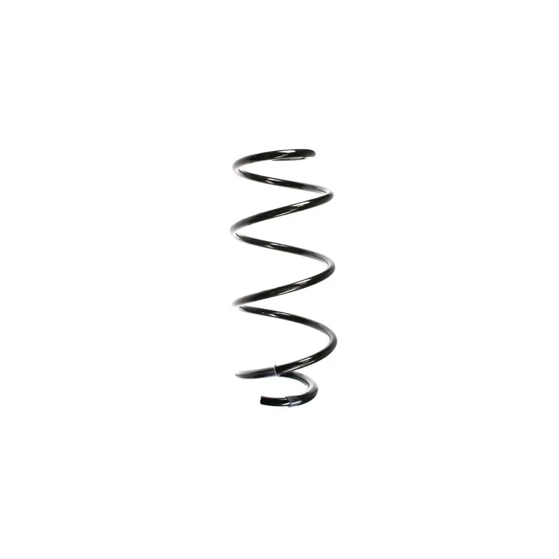 Ressort de suspension SPIDAN 56161