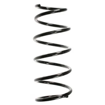 Ressort de suspension SPIDAN 56167
