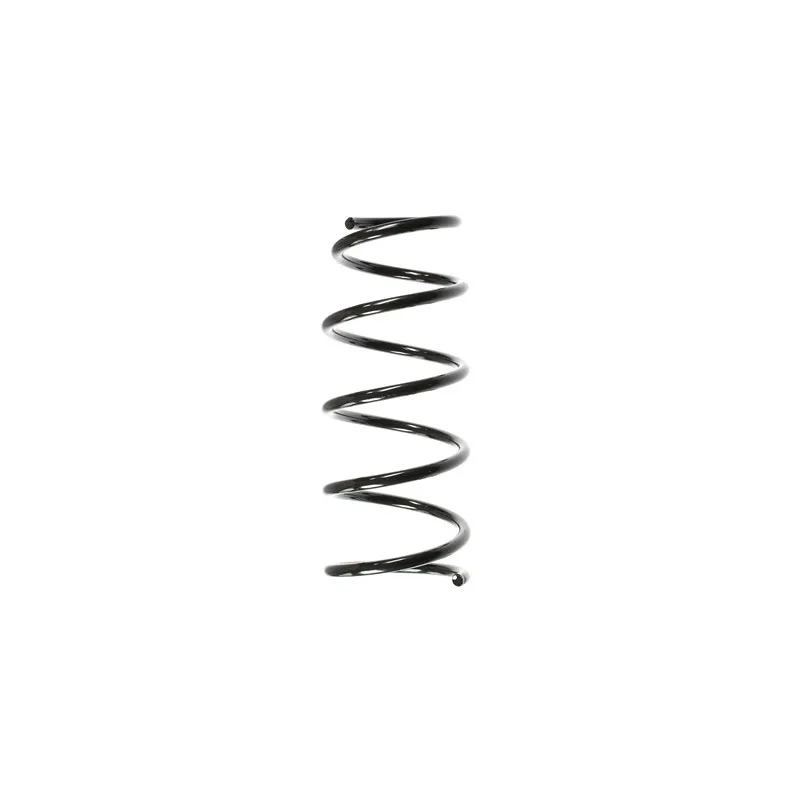 Ressort de suspension SPIDAN 56169