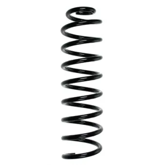 Ressort de suspension SPIDAN 56171
