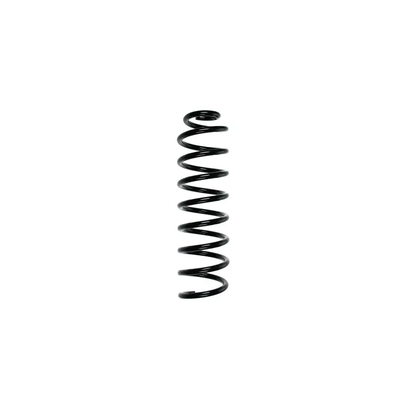 Ressort de suspension SPIDAN 56171