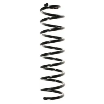Ressort de suspension SPIDAN 56173
