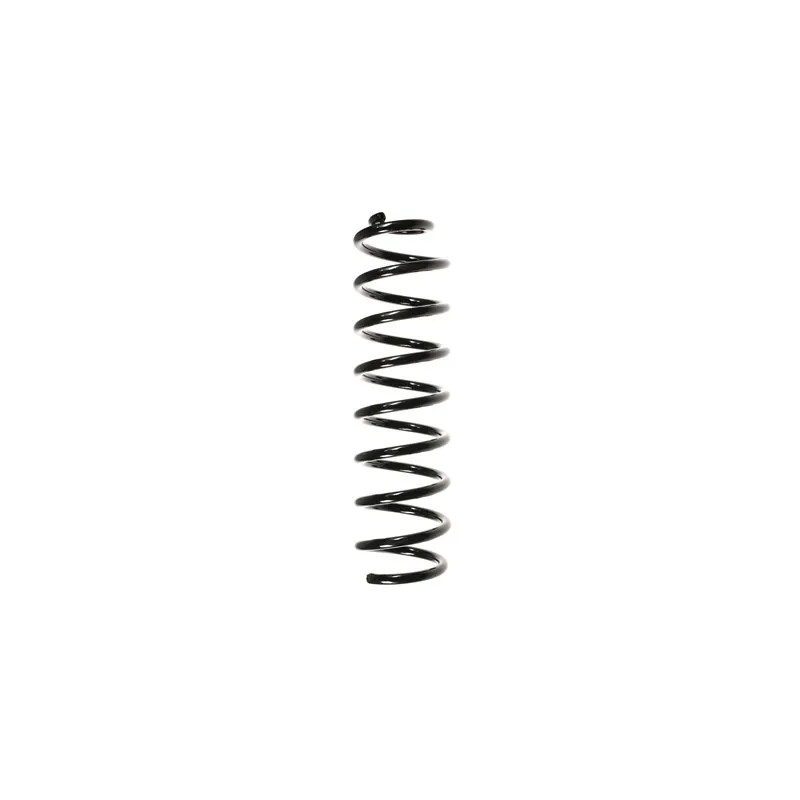 Ressort de suspension SPIDAN 56173