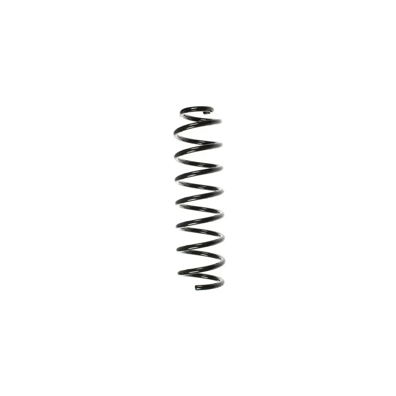 Ressort de suspension SPIDAN 56174