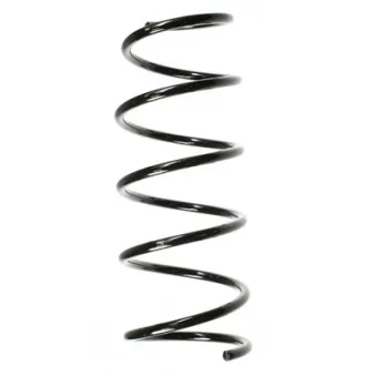 Ressort de suspension SPIDAN 56181
