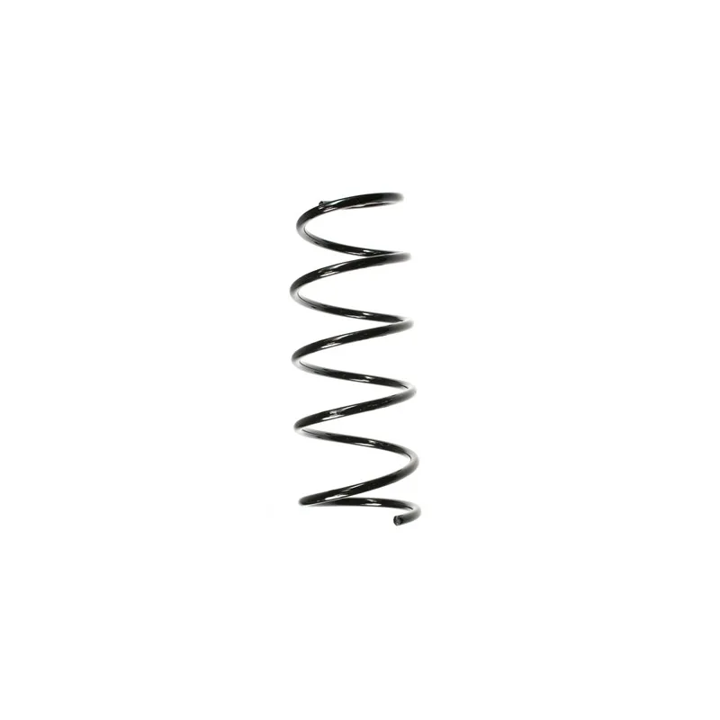 Ressort de suspension SPIDAN 56181