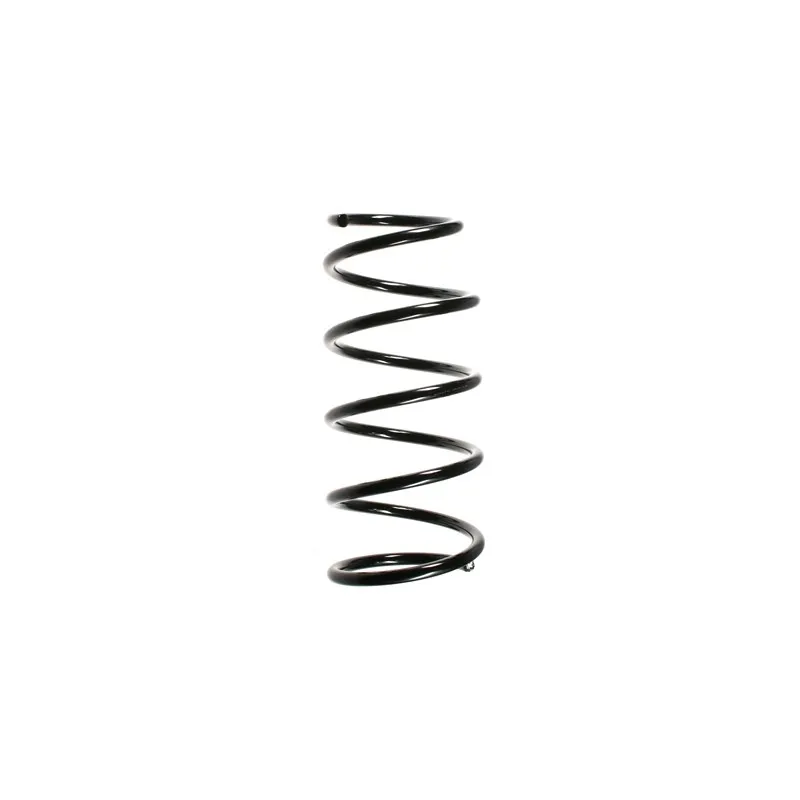 Ressort de suspension SPIDAN 56184