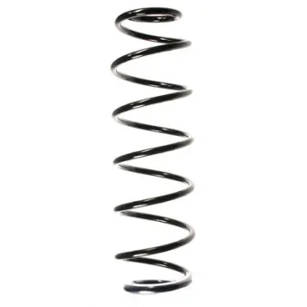 Ressort de suspension SPIDAN 56187